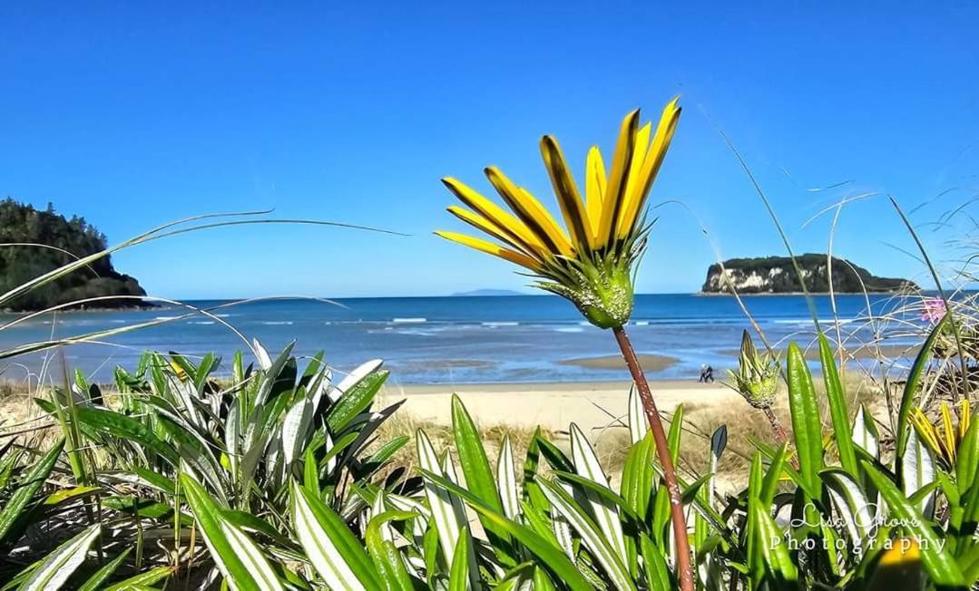 Southpacific Motel Whangamata Kültér fotó